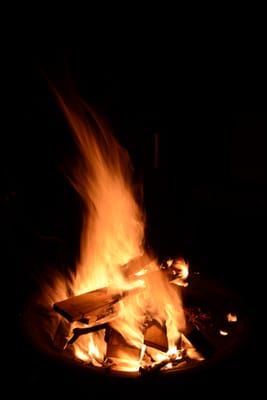 DSC_9080.JPG