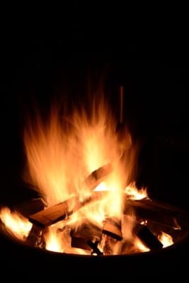 DSC_9084.JPG