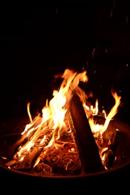 DSC_9089.JPG