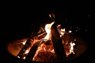 DSC_9091.JPG