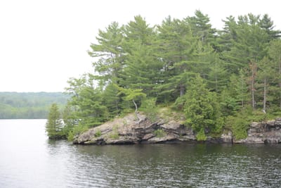 DSC_9283.JPG