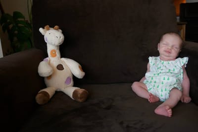A050 2 weeks old.jpg