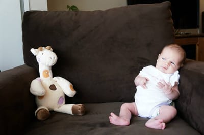 A052 4 weeks old.jpg