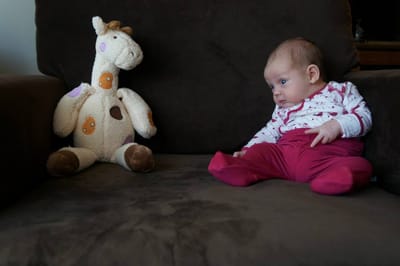 A053 5 weeks old.jpg