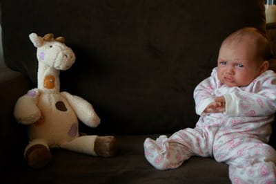 A054 6 weeks old.jpg