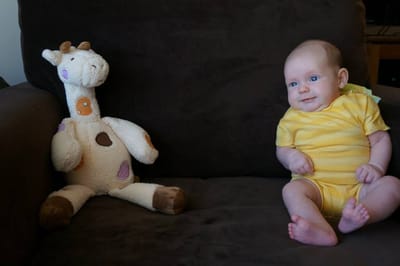 A056 8 weeks old.jpg