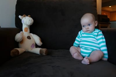A058 10 weeks old.jpg