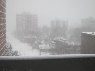 IMG_3957.JPG