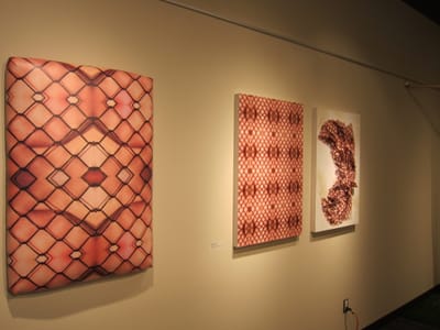 c002.JPG