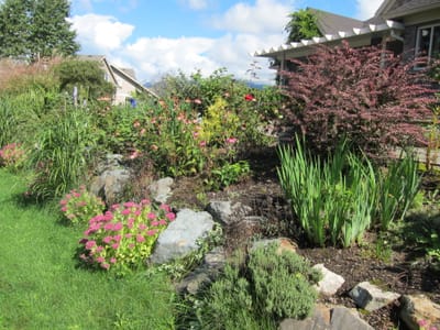 A022.JPG