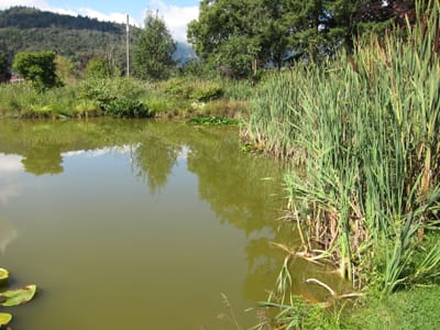A024.JPG