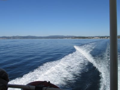 IMG_0836.JPG