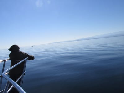 IMG_0840.JPG