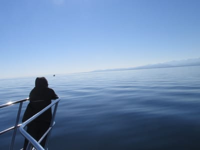 IMG_0842.JPG