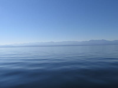 IMG_0843.JPG