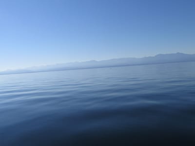 IMG_0844.JPG