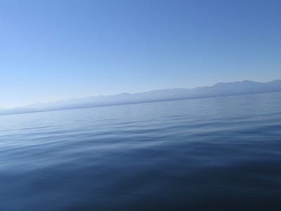 IMG_0845.JPG