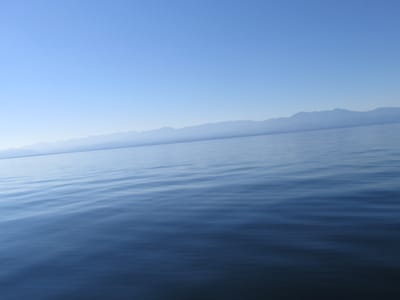 IMG_0847.JPG
