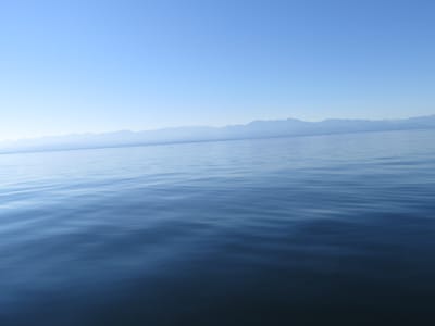 IMG_0848.JPG