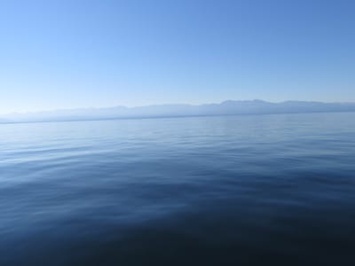 IMG_0849.JPG