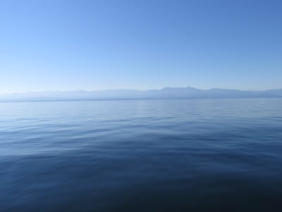 IMG_0850.JPG