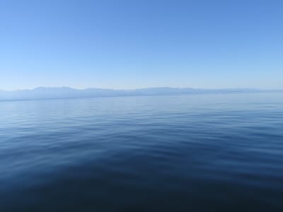 IMG_0851.JPG