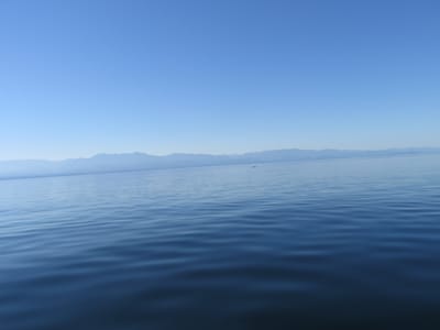 IMG_0852.JPG