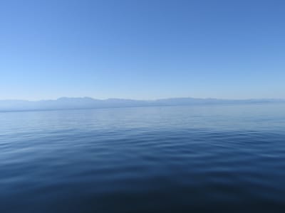 IMG_0853.JPG