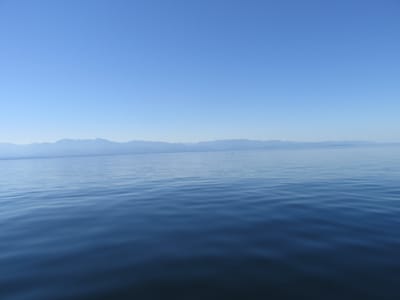 IMG_0854.JPG
