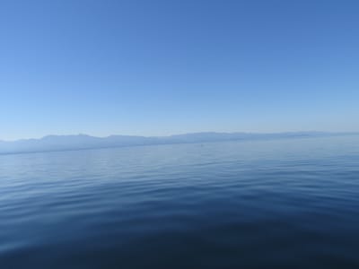 IMG_0855.JPG