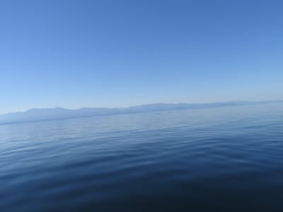 IMG_0856.JPG