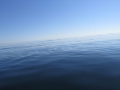 IMG_0857.JPG