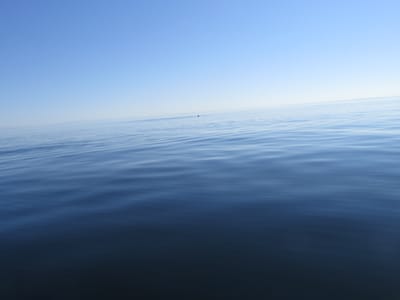 IMG_0858.JPG