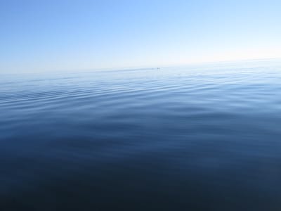 IMG_0859.JPG