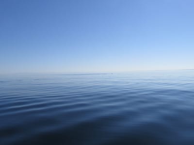 IMG_0860.JPG