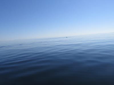 IMG_0861.JPG