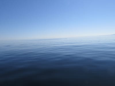 IMG_0862.JPG