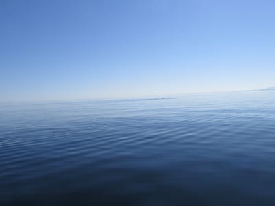 IMG_0863.JPG