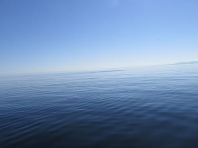 IMG_0864.JPG