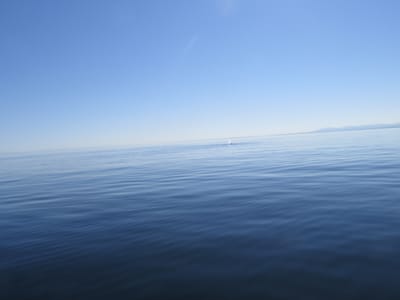 IMG_0865.JPG