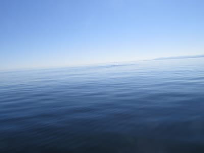 IMG_0866.JPG