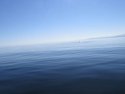 IMG_0867.JPG