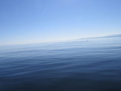 IMG_0868.JPG