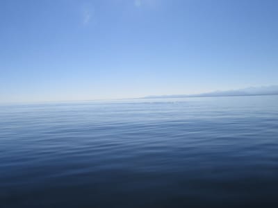 IMG_0869.JPG