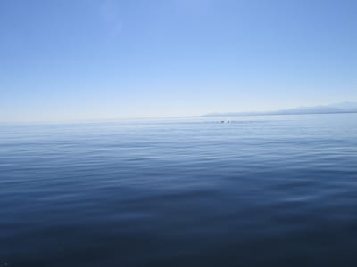 IMG_0870.JPG