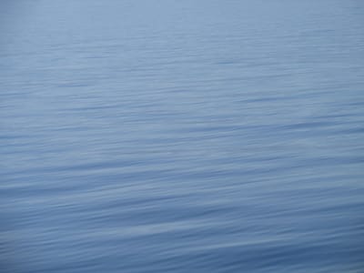 IMG_0871.JPG