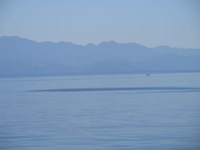 IMG_0876.JPG