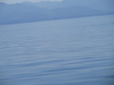 IMG_0878.JPG