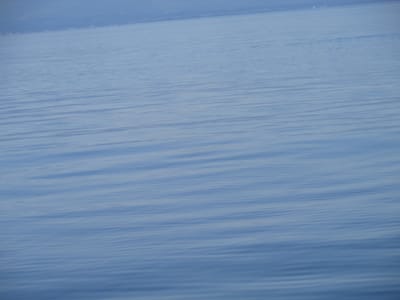 IMG_0879.JPG