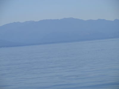 IMG_0880.JPG